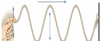 A hand shaking one end of a rope up and down while the other end is fixed to a wall, with waves running along the rope towards the wall