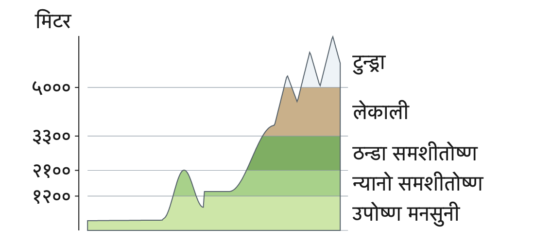 उचाइ बढ्दै जाँदा नेपालको हावापानी कसरी पाँच पेटीमा बाँडिन्छ भन्ने देखाउने चित्र।