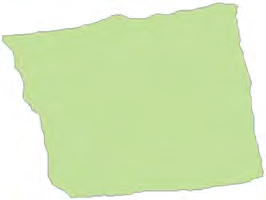The sheet of paper before any fold is made, with uneven edges all round.