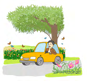 A traveller in a car looks back at flowers he passed too quickly to see clearly.