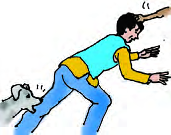 The dog bites the thief's leg as he runs for the door in the dark.