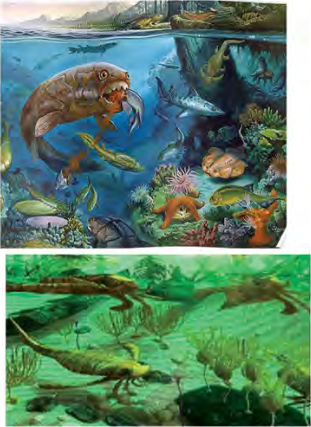 The Palaeozoic sea, where invertebrate arthropods, molluscs and echinoderms lived alongside the first fish.