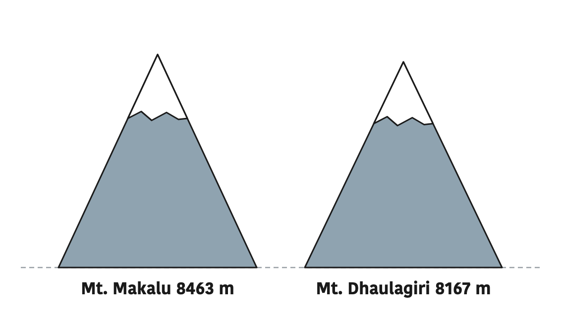 Mt. Makalu at 8463 m stands higher than Mt. Dhaulagiri at 8167 m, so we say Makalu is higher and Dhaulagiri is shorter.