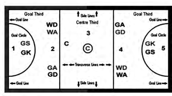 The netball court: three thirds, five numbered zones and where each of the seven positions stands.