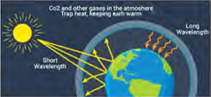 The heat reflected back from the earth's surface and from the atmosphere is held in by the greenhouse gases, and so the atmosphere stays warm.