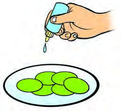 A drop of safranin is added to the watch glass