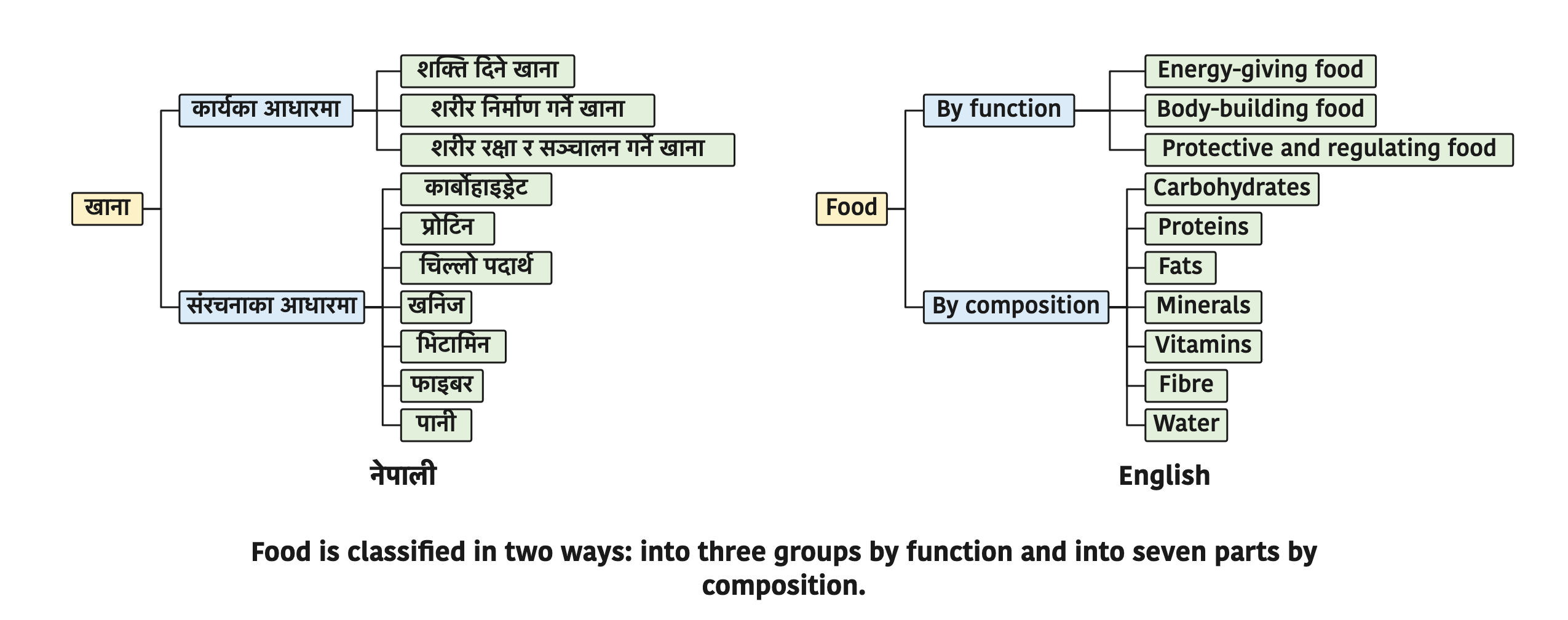 Food is classified in two ways: into three groups by function and into seven parts by composition.