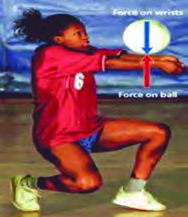In a dig, the ball presses on the player's wrists and the wrists push back on the ball with an equal and opposite force.