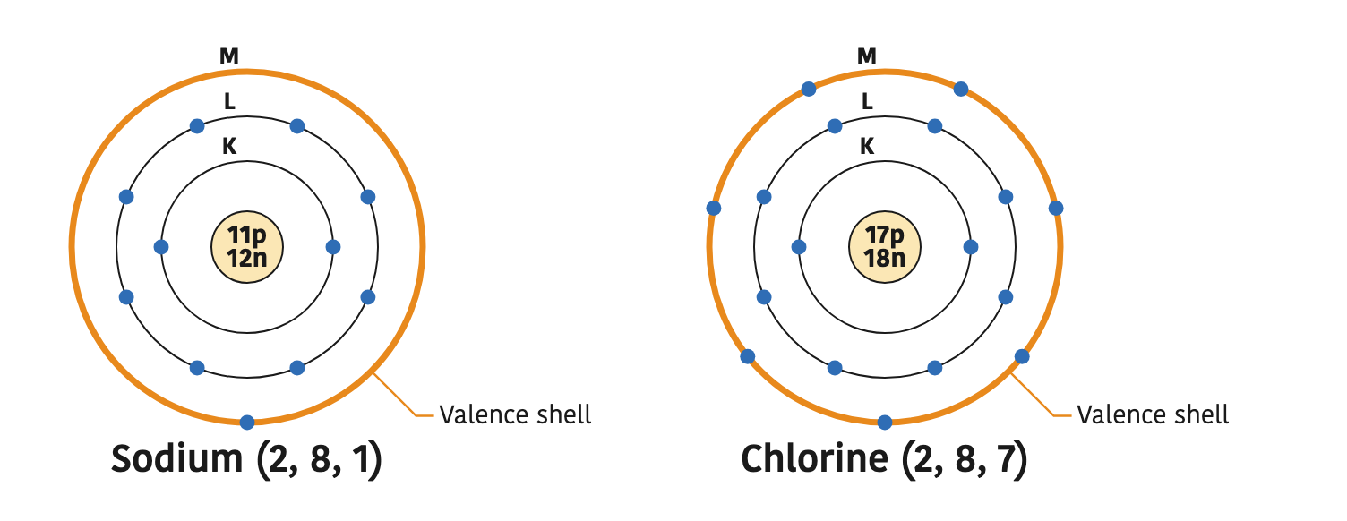 Sodium (2, 8, 1) and chlorine (2, 8, 7) atoms: in both, the outermost M shell is the valence shell