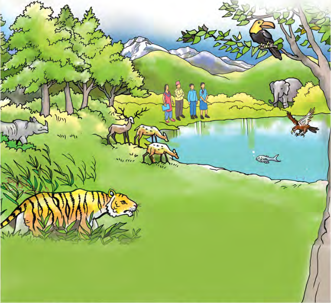 एउटै परिवेशभित्र हिमाल, वन, तलाउ, जनावर, चरा र मानिस सँगै रहेको दृश्य, जसले प्रकृति र मानव एउटै घरका सदस्य हुन् भन्ने देखाउँछ।