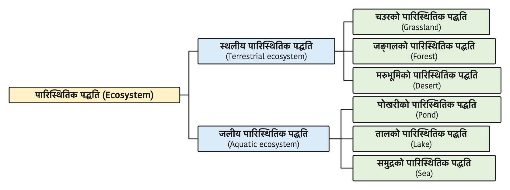 The two branches of ecosystems, terrestrial and aquatic, with three examples of each.