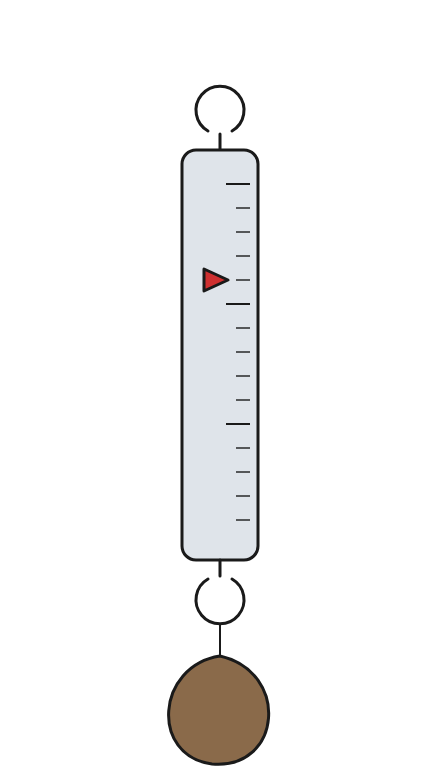 The spring balance used to measure force, with an object hanging from it.