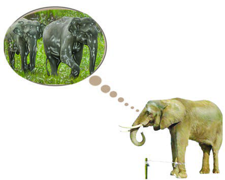 A circus elephant tied to a post, dreaming of elephants roaming free in the forest, which is the whole poem in one picture.