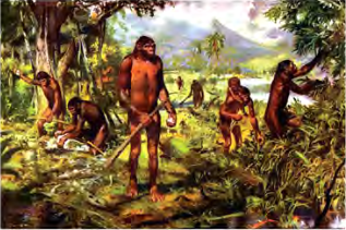 Ancestors of modern human beings living in a group and using tools, who developed in this era.