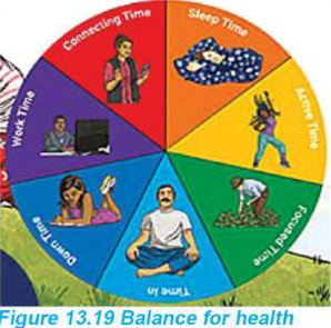 Balance for health: seven kinds of time share one day, and each slice of the wheel needs its place.