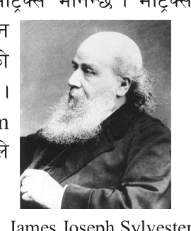 James Joseph Sylvester, the mathematician who gave the matrix its name.