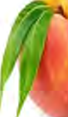 A peach has just one hard-shelled seed inside its juicy flesh.