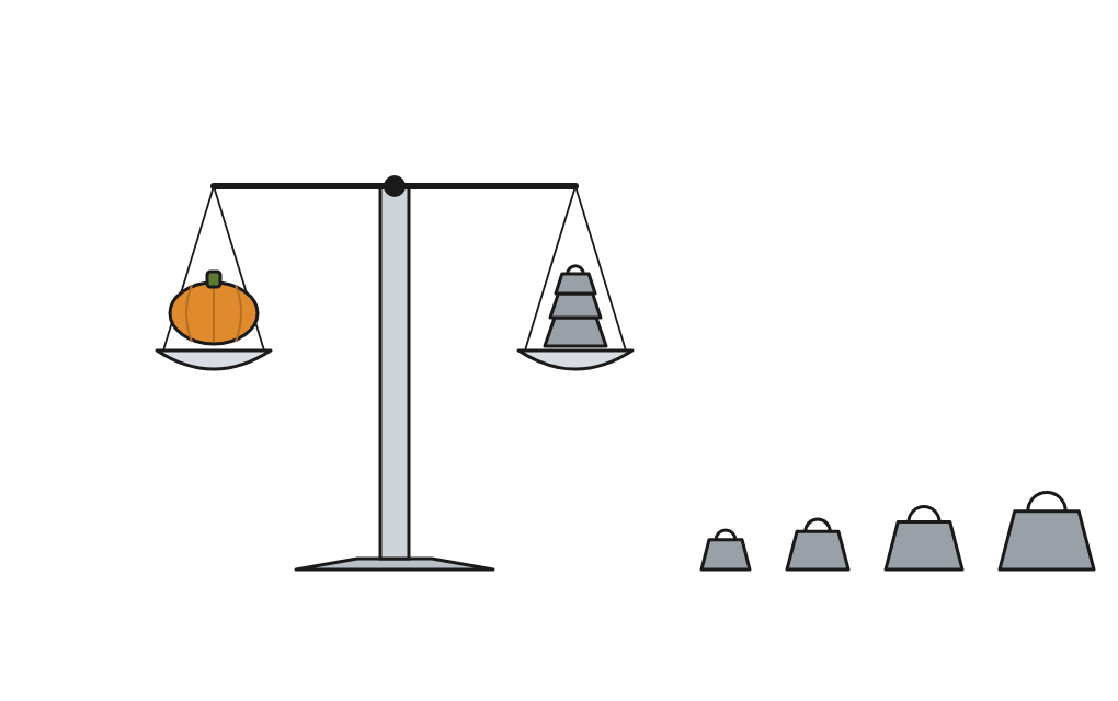 The beam balance used to measure mass, with the object on one pan and the weights on the other.