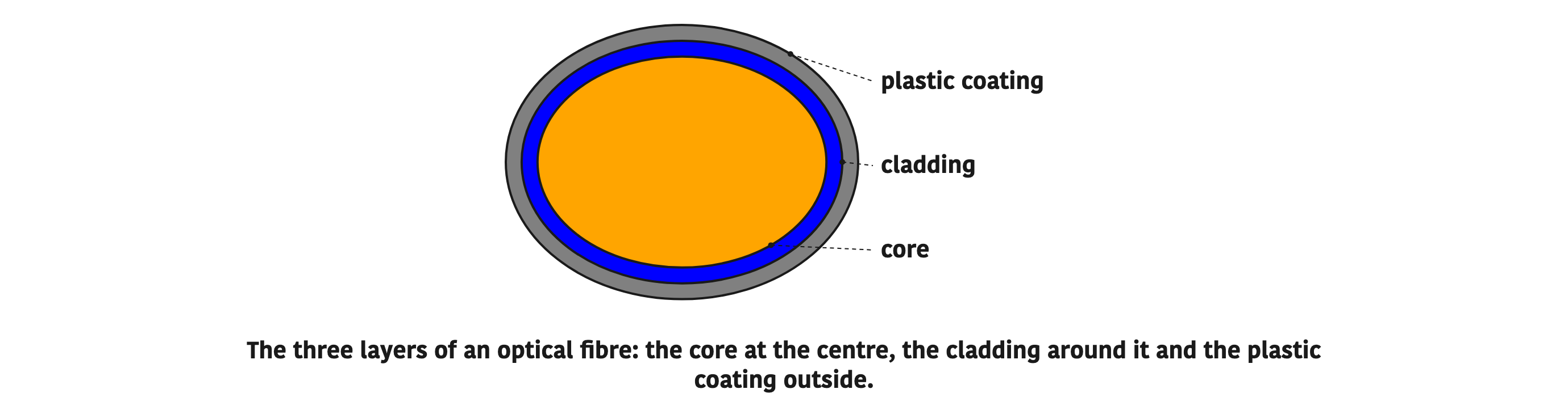 The three layers of an optical fibre: the core at the centre, the cladding around it and the plastic coating outside.