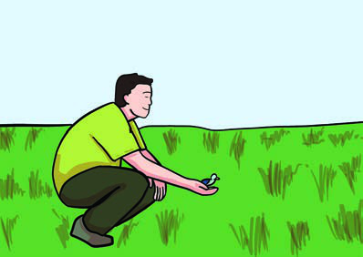 The rich man kneels in his garden with the tiny grey bird in his open hand, the moment he must choose between keeping it and freeing it.