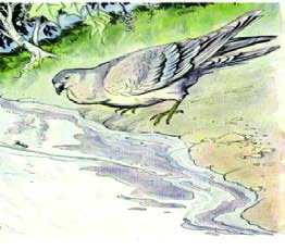 The dove at the brook, from the fable of the dove and the ant. In the first sentence they are a dove and an ant, strangers to the reader; from then on they are the dove and the ant, because we now know exactly which ones.