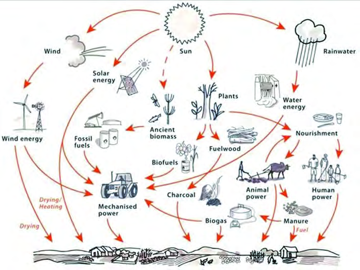 Follow any arrow and it leads back to the sun: water, wind, fuels and even our food all begin as solar energy.
