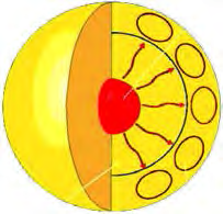 The inner structure of the Sun: energy is made by nuclear fusion in the central core, the radiative zone carries it outward by radiation, and the convective zone carries it on by convection.