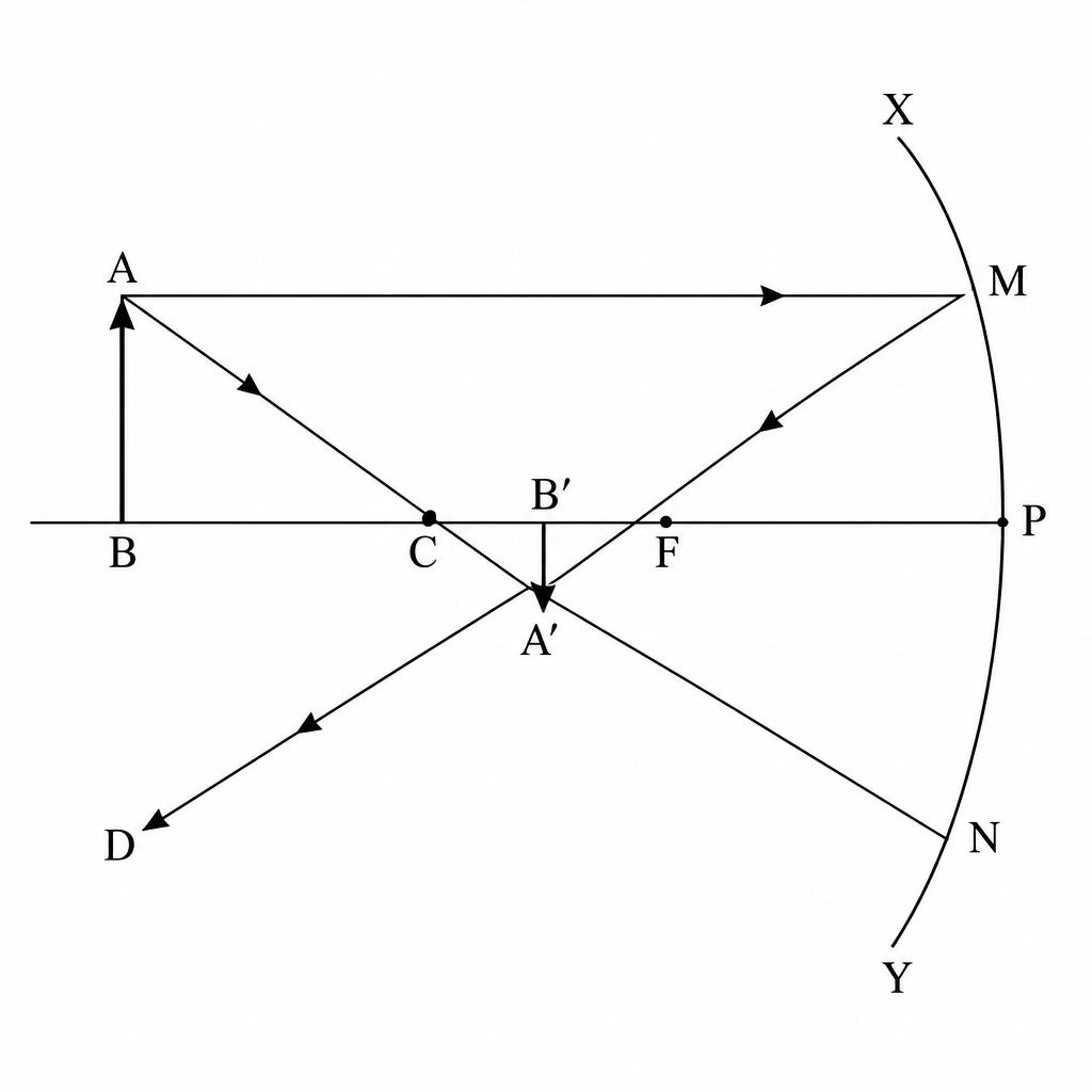 Two rays drawn from the object AB placed beyond C meet between F and C, and the small inverted image A prime B prime is built there.