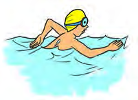 Swimming: the arms and legs push the water backward, and the water drives the swimmer forward.