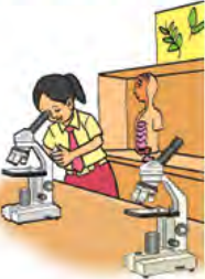 A student examines a specimen through a microscope, the instrument that makes very small things visible.