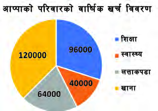 Appa's family yearly spending, divided into sectors using the angles just calculated