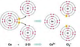 In an electrovalent bond electrons move from one atom to another: calcium's two valence electrons go to two chlorine atoms.