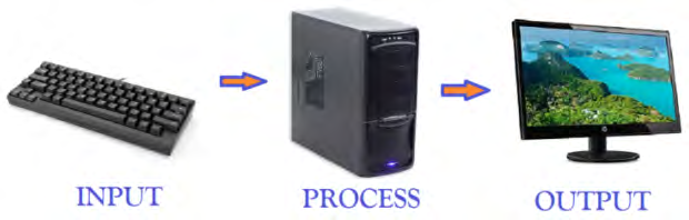 The order in which data enters a computer, where it is processed, and where the result appears.