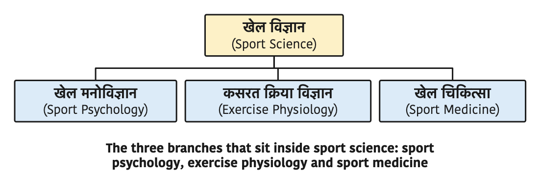 The three branches that sit inside sport science: sport psychology, exercise physiology and sport medicine