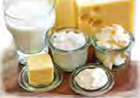 Milk, cheese, butter, yoghurt and cream are all dairy foods made from milk, and milk carries a natural sugar called lactose.