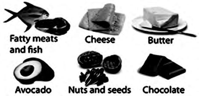 Fig 6.3 Foods rich in fat: fatty meat and fish, cheese, butter, avocado, nuts and seeds, chocolate