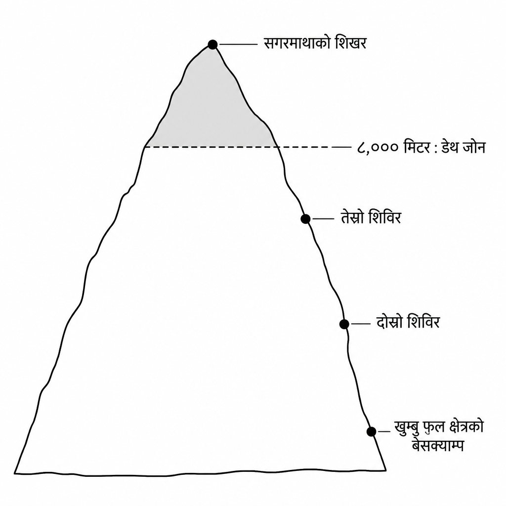 तल खुम्बु फलको बेसक्याम्पदेखि माथि शिखरसम्म शिविर कसरी मिलाइन्छ र डेथ जोन कहाँबाट सुरु हुन्छ भन्ने देखाउने चित्र ।