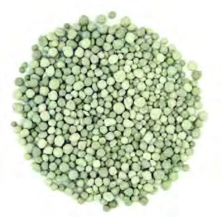 The grey grains of triple super phosphate, the fertilizer that gives plants phosphorus.