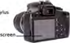 A digital camera, which captures a picture directly in digital form.