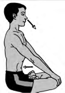 In Kapalbhati the breath is pushed out through the nose, and the belly draws inward with each push.