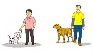 Two dogs of different sizes. The boy in yellow can say: my dog is bigger than his dog.
