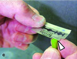 The blade slices straight across the stem