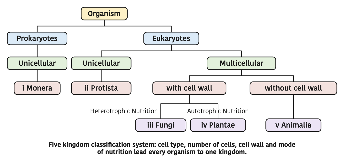 Five kingdom classification system: cell type, number of cells, cell wall and mode of nutrition lead every organism to one kingdom.