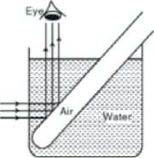 An empty test tube slanted in water: rays arriving from the side are totally reflected at the wall of the tube and travel up to the eye.
