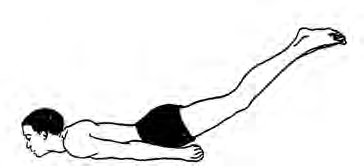 Shalabhasana: the head and hands stay down while both legs rise straight, with no bend at the knees