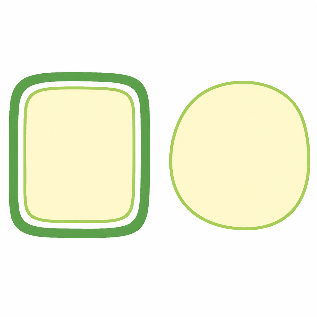 A plant cell has a cell wall outside with the cell membrane inside it, while an animal cell has the membrane alone.