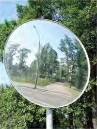 A mirror with a smooth surface sends the light that falls on it back, so the road and the trees in front of it can be seen in it.