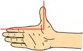 The angle made by the thumb and the forefinger is \( 90^\circ \), so the line segments those two fingers stand for are perpendicular.