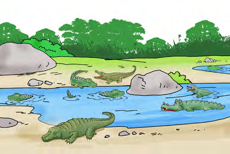 Crocodiles resting on the sandy banks of a river in Chitwan.