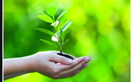 Every living thing, from a tiny seedling to a huge elephant, has features that help it survive, and those features are the clues a riddle uses.